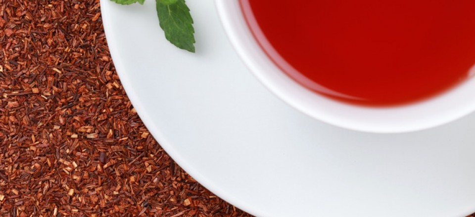 Rooibos infusion