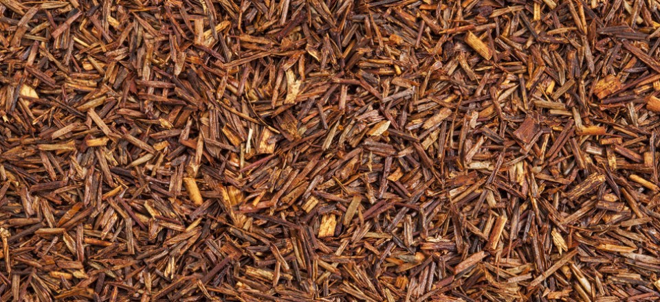 Rooibos